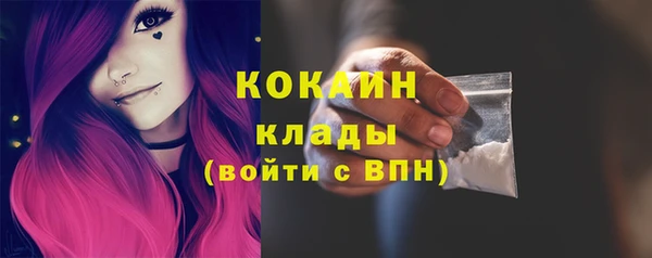 кокс Алексин