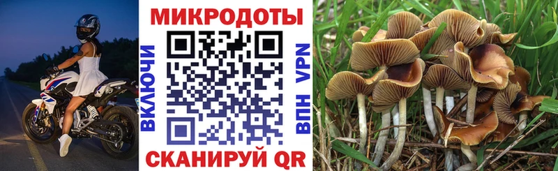 Галлюциногенные грибы прущие грибы даркнет сайт Талдом